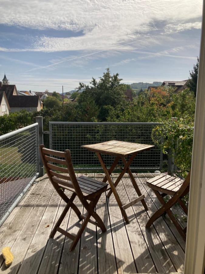 3 Zi Wohnung Haustiere Willkommen Im Markgraeflerland Dreilaendereck Schliengen Eksteriør billede